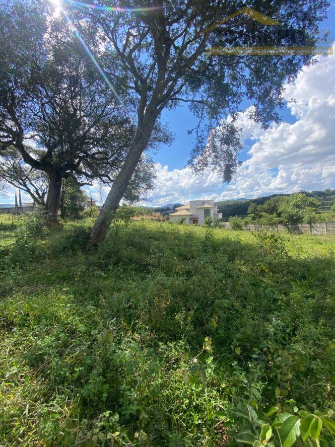 WhatsApp Image 2026-04-13 at 17.10.03 (3).jpeg